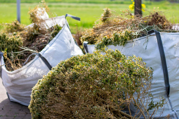 Best Electronics Removal Services  in Springhill, LA