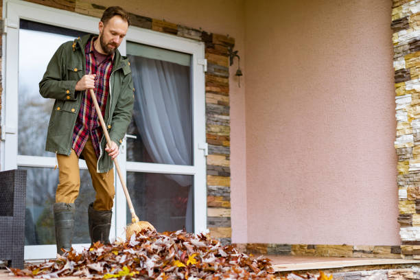 Debris Removal in Springhill, LA